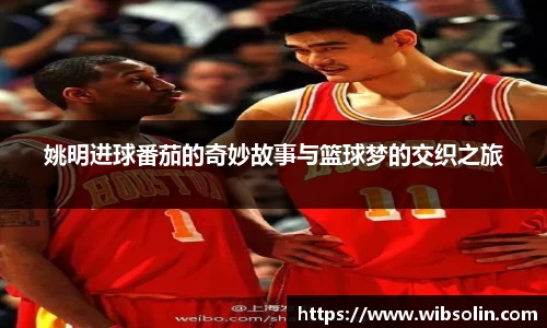 姚明进球番茄的奇妙故事与篮球梦的交织之旅