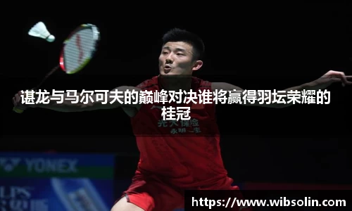 谌龙与马尔可夫的巅峰对决谁将赢得羽坛荣耀的桂冠